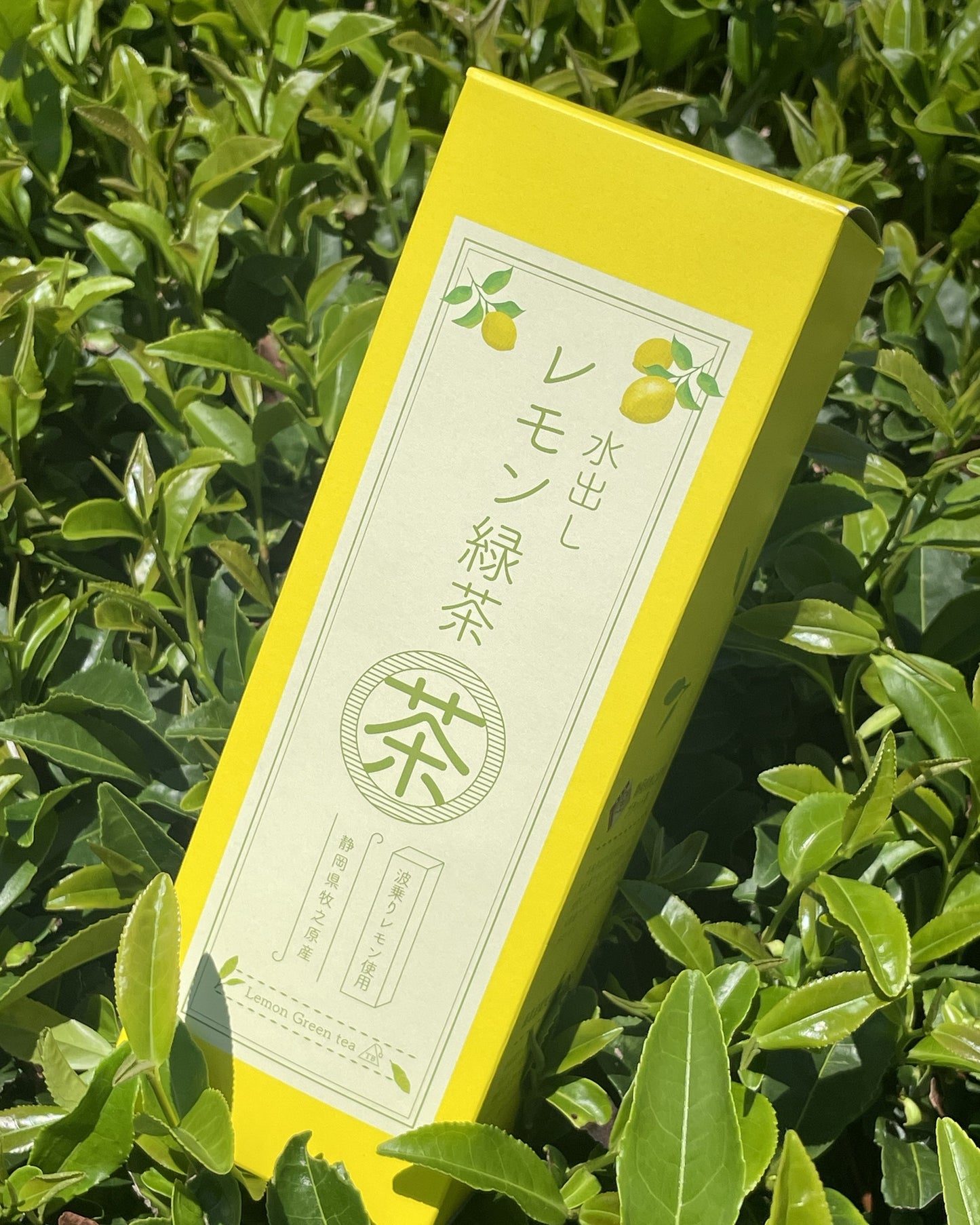 レモンティーとレモン緑茶の2種飲み比べセット